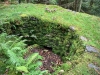 Grizedale Forest [24/09/2020]