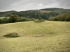 Grizedale Forest [24/09/2020]