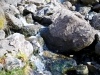 Stickle Tarn, Langdale Pikes [26/09/2020]