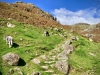 Stickle Tarn, Langdale Pikes [26/09/2020]