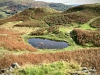 Ambleside & Loughrigg Fell [20/09/2020]