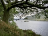 Glencoyne to Mossdale Bay, Ullswater [28/09/2020]