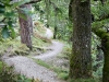 Glencoyne to Mossdale Bay, Ullswater [28/09/2020]