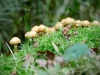 Rydal Water [22/09/2020]