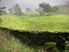 Rydal Water [22/09/2020]