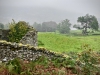 Rydal Water [22/09/2020]