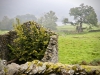 Rydal Water [22/09/2020]