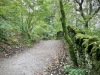 Rydal Water [22/09/2020]