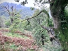 Rydal Water [22/09/2020]