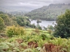 Rydal Water [22/09/2020]