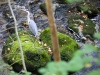 Stockgill Force, Ambleside [23/09/2020]