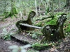 Stockgill Force, Ambleside [23/09/2020]