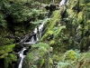 Stockgill Force, Ambleside [23/09/2020]