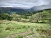 Wansfell Pike [23/09/2020]