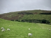 Wansfell Pike [23/09/2020]