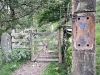 Wansfell Pike [23/09/2020]