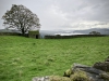 Wansfell Pike [23/09/2020]