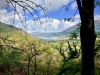 Whinlatter Forest, Keswick [01/10/2020]