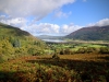 Whinlatter Forest, Keswick [01/10/2020]