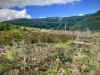 Whinlatter Forest, Keswick [01/10/2020]