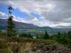 Whinlatter Forest, Keswick [01/10/2020]