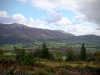 Whinlatter Forest, Keswick [01/10/2020]