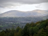 Whinlatter Forest, Keswick [01/10/2020]