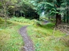 Whinlatter Forest, Keswick [01/10/2020]