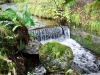 Whinlatter Forest, Keswick [01/10/2020]