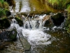 Whinlatter Forest, Keswick [01/10/2020]