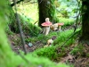 Whinlatter Forest, Keswick [01/10/2020]