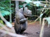 Whinlatter Forest, Keswick [01/10/2020]