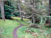 Whinlatter Forest, Keswick [01/10/2020]