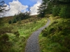 Whinlatter Forest, Keswick [01/10/2020]