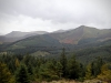 Whinlatter Forest, Keswick [01/10/2020]