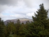 Whinlatter Forest, Keswick [01/10/2020]