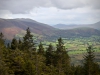 Whinlatter Forest, Keswick [01/10/2020]