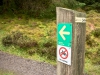 Whinlatter Forest, Keswick [01/10/2020]