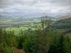 Whinlatter Forest, Keswick [01/10/2020]