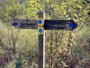 Whinlatter Forest, Keswick [01/10/2020]