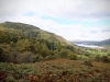 Whinlatter Forest, Keswick [01/10/2020]