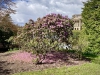 Lyme Park, Stockport [09/04/2022]