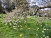 Lyme Park, Stockport [09/04/2022]