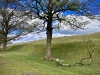 Lyme Park, Stockport [09/04/2022]