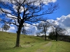 Lyme Park, Stockport [09/04/2022]