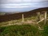 Moel Famau via Loggerheads Walk