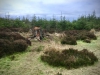 Moel Famau via Loggerheads Walk