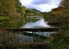 New Precipice Walk, Llanelltyd, Wales