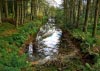 New Precipice Walk, Llanelltyd, Wales