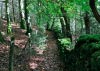 New Precipice Walk, Llanelltyd, Wales